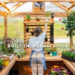 Bellerose 11 ft. x 7 ft. Wood Backyard Greenhouse Kit shown in an outdoor setting