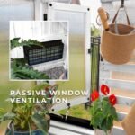 Willow Pre-Stained & Sealed White 9 ft. x 6 ft. Wood Backyard Greenhouse Kit shown in an outdoor setting