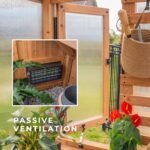 Willow 9 ft. x 6 ft. Wood Backyard Greenhouse Kit shown in an outdoor setting