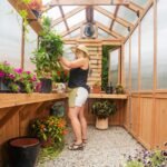 Bellerose 9 ft. x 6 ft. Wood Backyard Greenhouse Kit shown in an outdoor setting