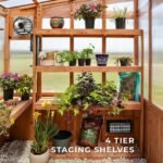 Backyard Discovery Poppy greenhouse four-tier staging shelves