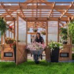 Bellerose XL 13 ft. x 11 ft. Wood Backyard Greenhouse Kit shown in an outdoor setting