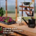 Bellerose XL 13 ft. x 11 ft. Wood Backyard Greenhouse Kit shown in an outdoor setting