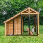 Backyard Discovery Canine Cabin backyard animal enclosure front view