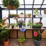 Backyard Discovery Larkspur 14 x 12 greenhouse right-side view