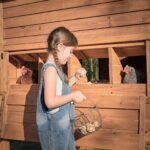 Backyard Discovery Rustic Roots chicken coop nesting box