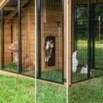 Secure Backyard Animal Enclosure product detail view 5