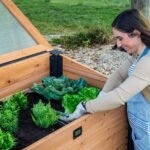 Aggie Wooden Garden Cold Frame rear view