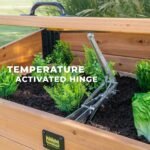 Aggie Wooden Garden Cold Frame rear view